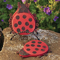 Ancient Graffiti Garden Collection